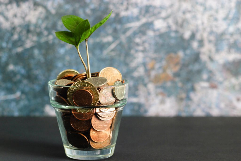 Money tree saving for university with free university grants