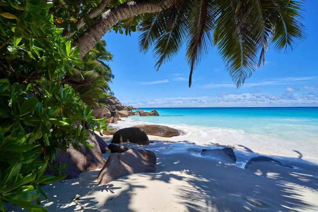 Seychelles luxury babymoon