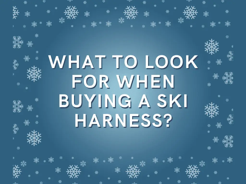 What to Look for When Buying a Ski Harness?
