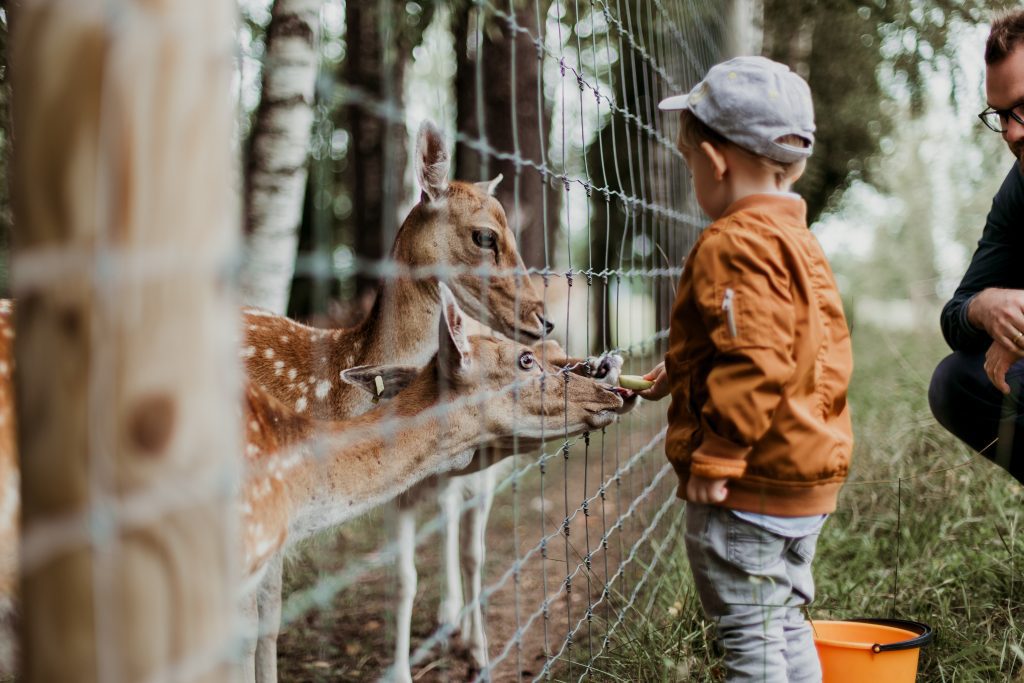 Toddler gift to the zoo