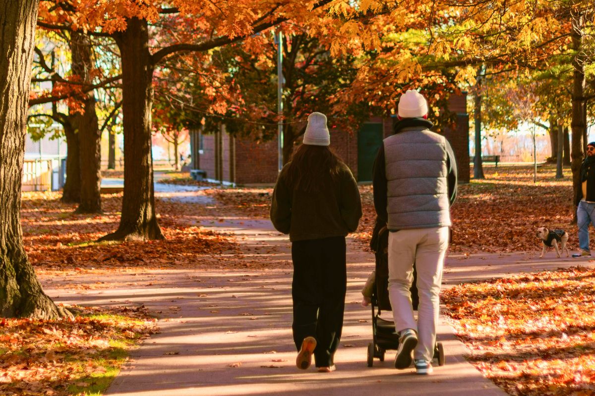 Parents walking with stroller through park during relaxing family outing.