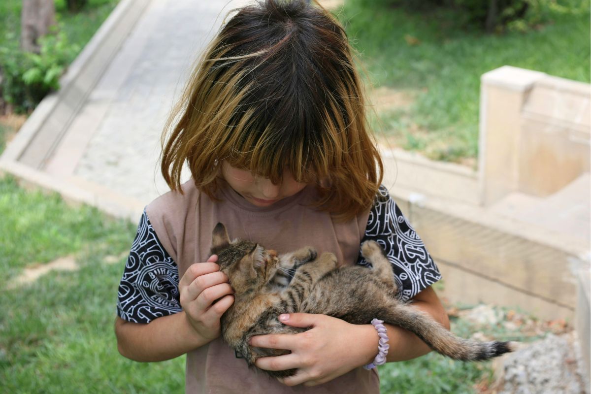 Young child gently holding a kitten showing care and responsibility.