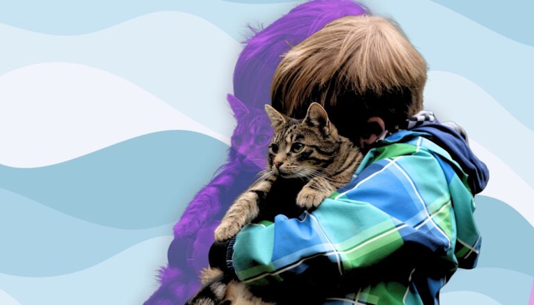 Child hugging a cat showing emotional comfort and companionship.