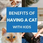Collage of cats and kids interacting, with text about benefits of having a cat with kids.