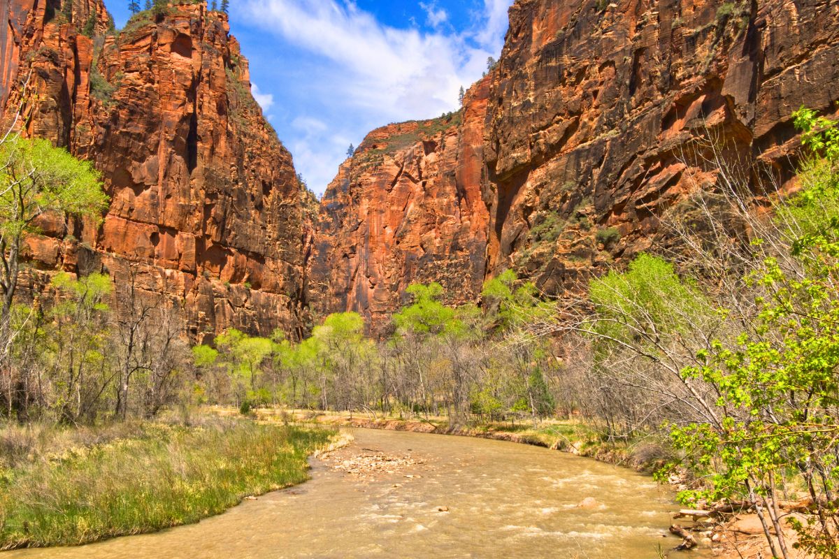 Zion National Park canyon with red rock cliffs and river views for a kid-friendly family adventure.