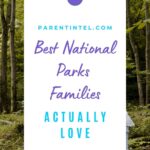 Green forest trail scene for a peaceful family-friendly national park adventure.