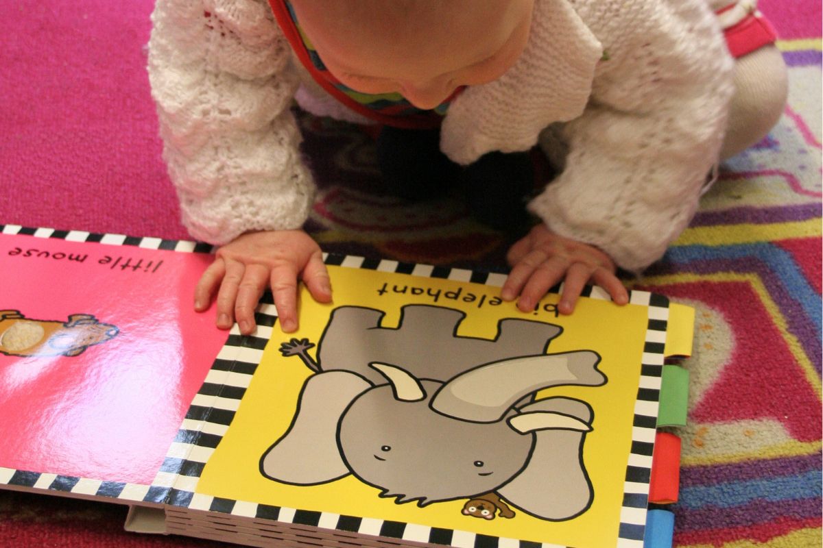 Toddler looking at a board book with bright illustrations, a simple quiet activity for restaurants.