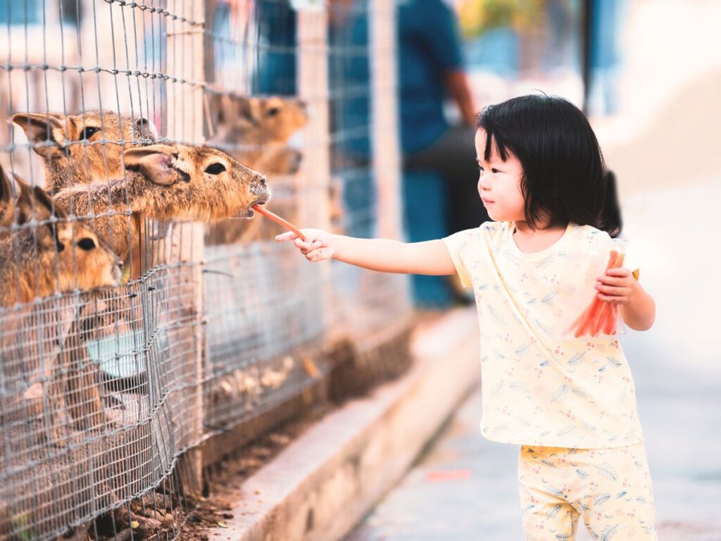 animals and kids in the zoo.