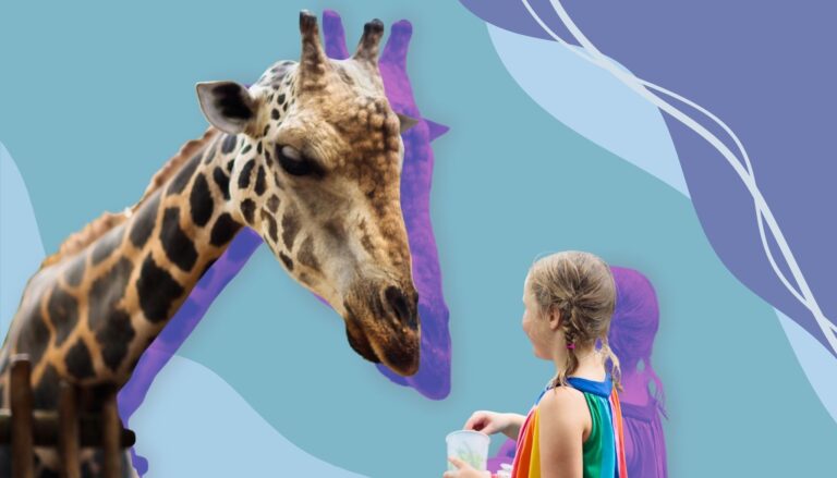Child looking up at a giraffe illustration on a colorful background.