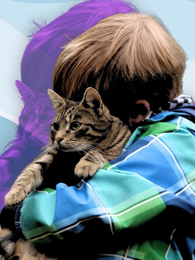 Child hugging a cat showing emotional comfort and companionship.