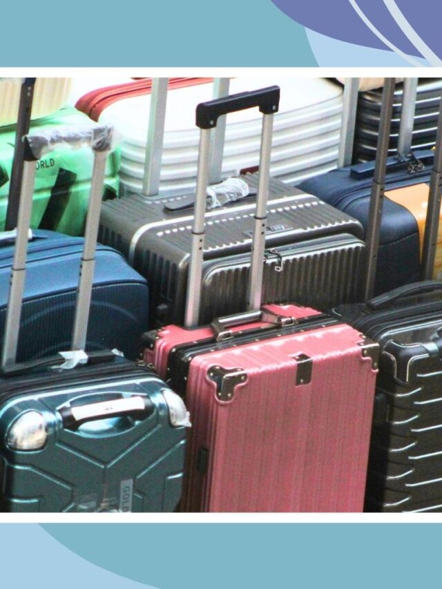 Different types of luggage for families including hard shell and soft suitcases.
