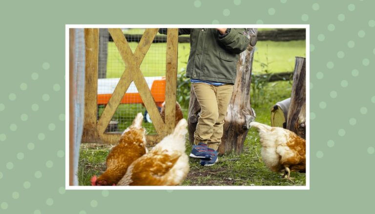 Farm Movies for Kids: Fun and Educational Films Featuring Life on the Farm