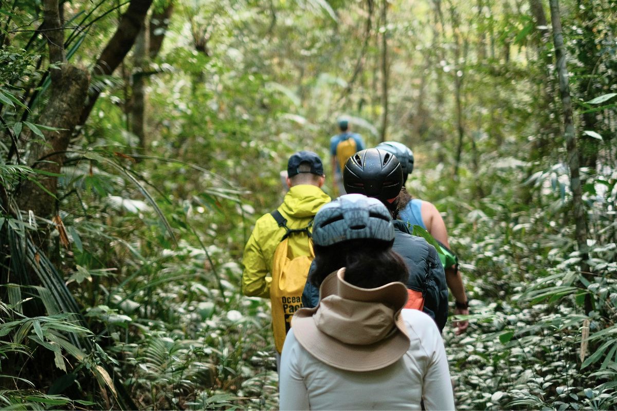 Family hiking through a forest trail, experiencing Canada's natural beauty and kid-friendly outdoor activities.