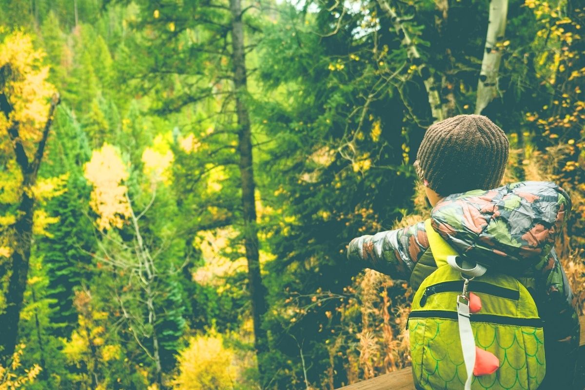 Child hiking through a sunlit forest wearing a backpack.