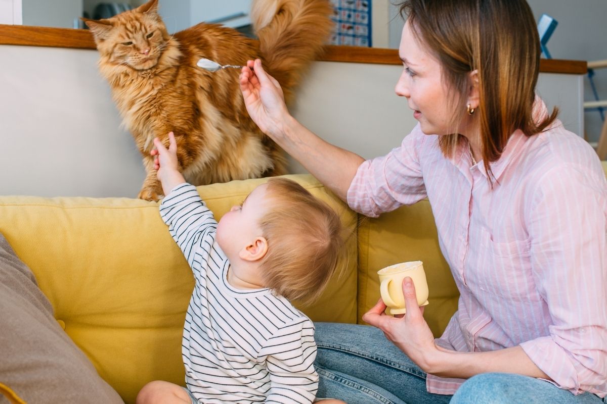 Mother and toddler sitting on a couch, petting a fluffy orange cat while the mother holds a small food container.